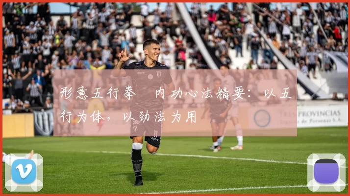 形意五行拳・内功心法精要：以五行为体，以劲法为用