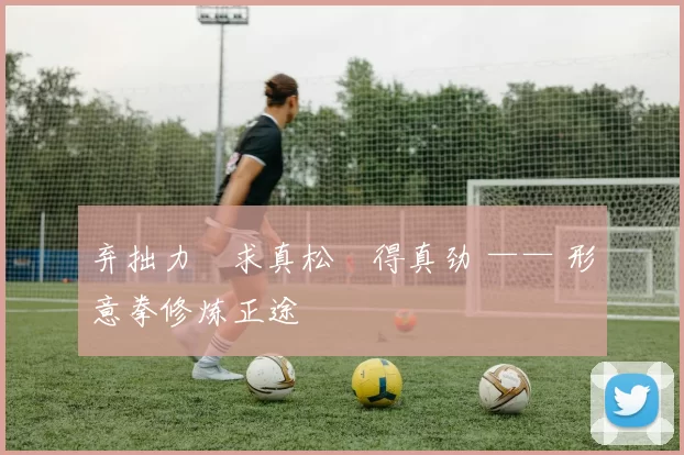 弃拙力・求真松・得真劲 —— 形意拳修炼正途