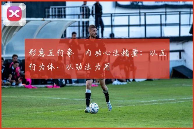 形意五行拳・内功心法精要：以五行为体，以劲法为用