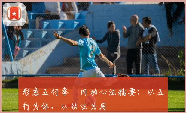 形意五行拳・内功心法精要：以五行为体，以劲法为用