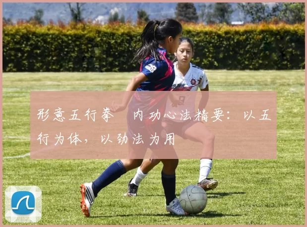 形意五行拳・内功心法精要：以五行为体，以劲法为用