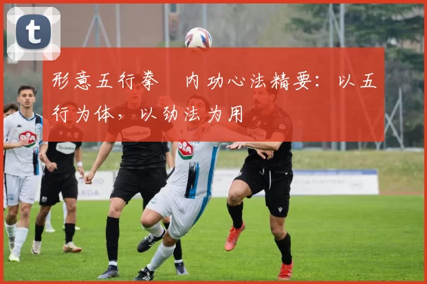 形意五行拳・内功心法精要:以五行为体,以劲法为用