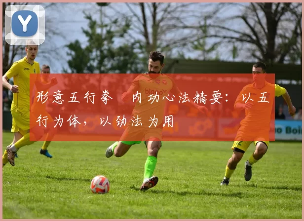 形意五行拳・内功心法精要：以五行为体，以劲法为用