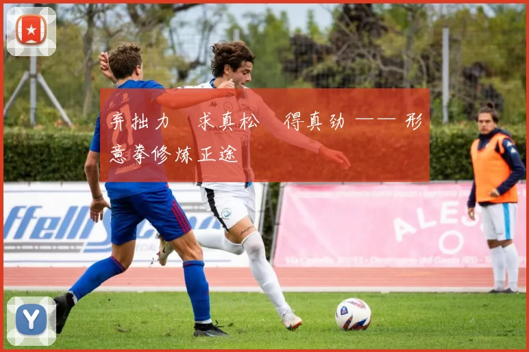 弃拙力・求真松・得真劲 —— 形意拳修炼正途