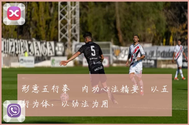 形意五行拳・内功心法精要：以五行为体，以劲法为用
