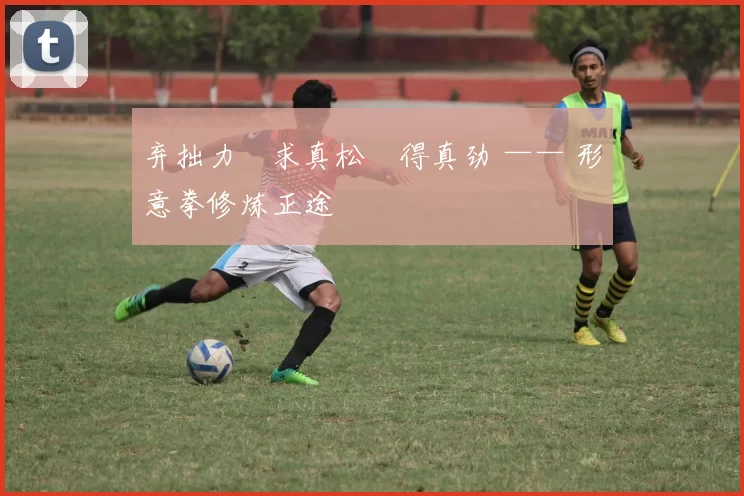 弃拙力・求真松・得真劲 —— 形意拳修炼正途
