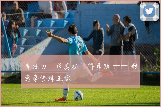 弃拙力・求真松・得真劲 —— 形意拳修炼正途