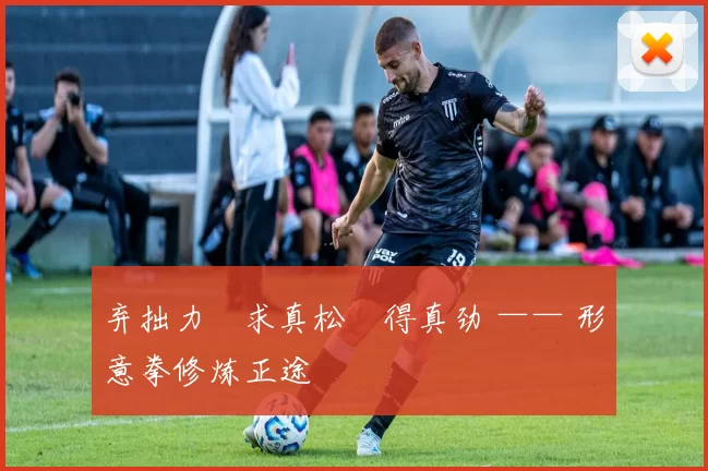 弃拙力・求真松・得真劲 —— 形意拳修炼正途