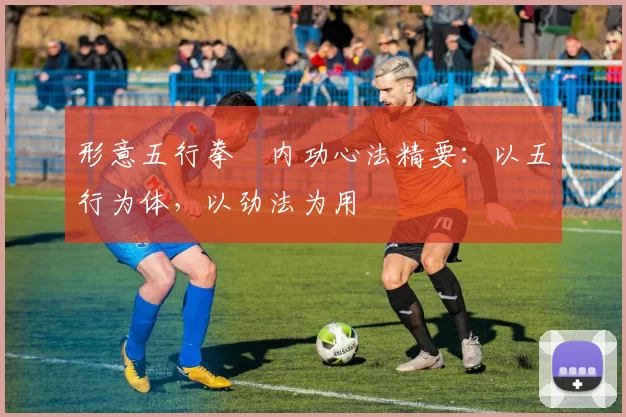 形意五行拳・内功心法精要:以五行为体,以劲法为用