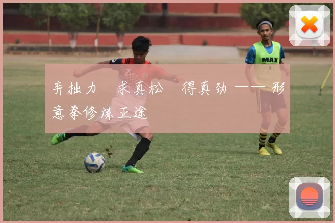 弃拙力・求真松・得真劲 —— 形意拳修炼正途