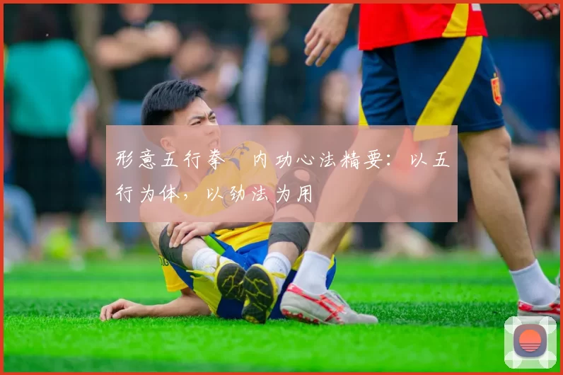形意五行拳・内功心法精要:以五行为体,以劲法为用