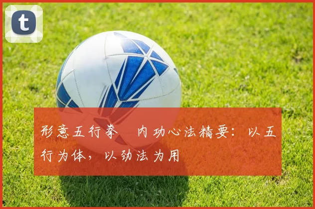 形意五行拳・内功心法精要：以五行为体，以劲法为用