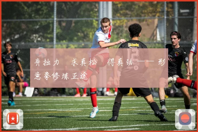 弃拙力・求真松・得真劲 —— 形意拳修炼正途