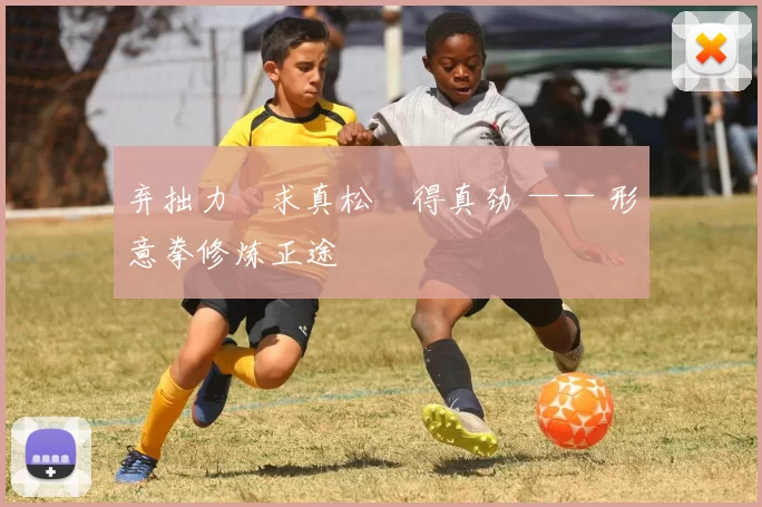 弃拙力・求真松・得真劲 —— 形意拳修炼正途