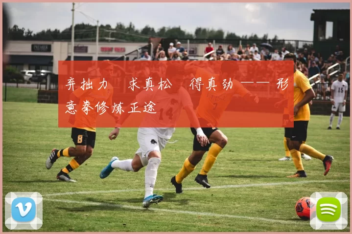 弃拙力・求真松・得真劲 —— 形意拳修炼正途