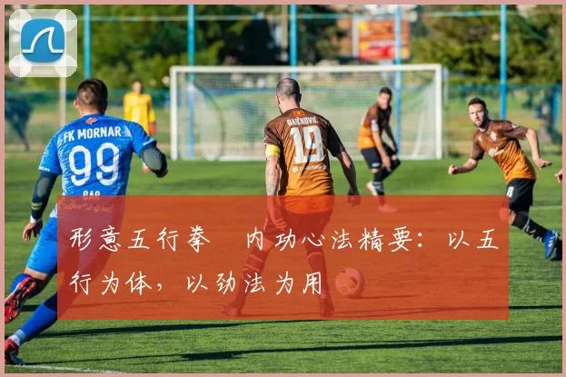 形意五行拳・内功心法精要:以五行为体,以劲法为用