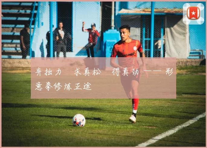 弃拙力・求真松・得真劲 —— 形意拳修炼正途