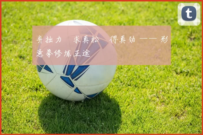 弃拙力・求真松・得真劲 —— 形意拳修炼正途