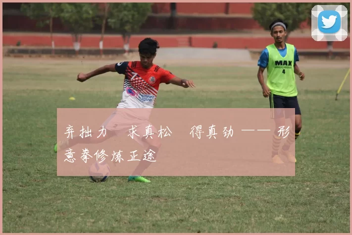 弃拙力・求真松・得真劲 —— 形意拳修炼正途