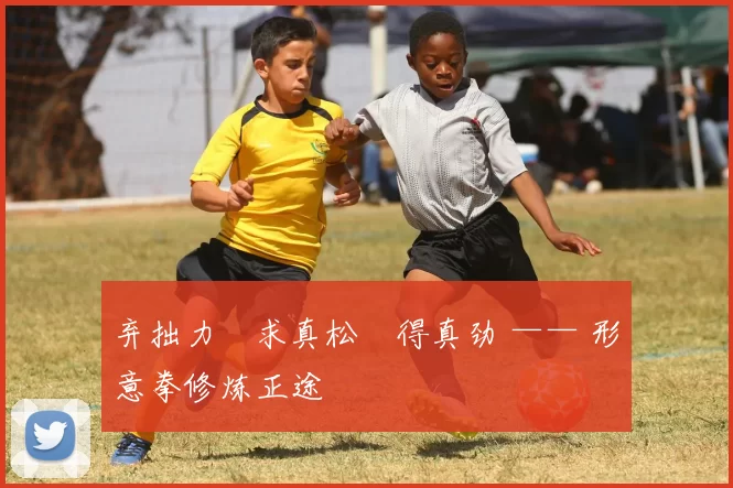 弃拙力・求真松・得真劲 —— 形意拳修炼正途