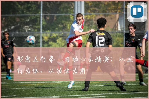 形意五行拳・内功心法精要:以五行为体,以劲法为用