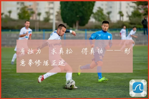 弃拙力・求真松・得真劲 —— 形意拳修炼正途