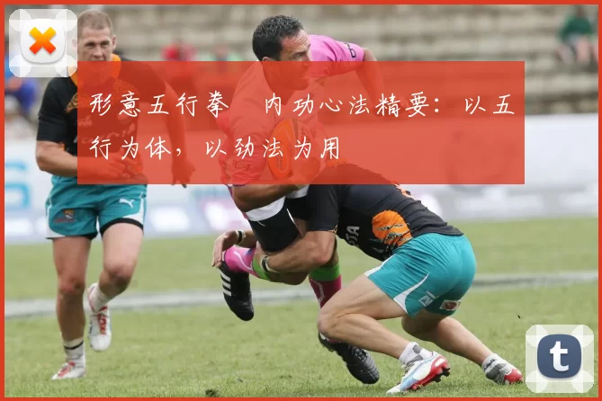 形意五行拳・内功心法精要:以五行为体,以劲法为用