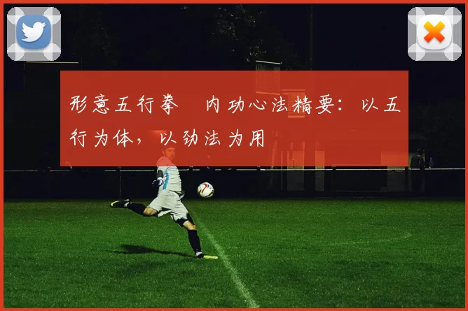 形意五行拳・内功心法精要：以五行为体，以劲法为用