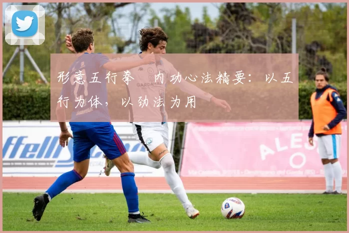 形意五行拳・内功心法精要：以五行为体，以劲法为用