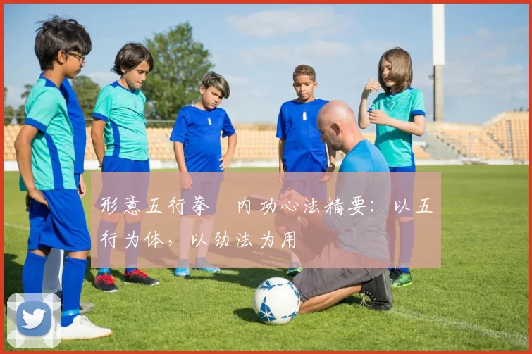 形意五行拳・内功心法精要:以五行为体,以劲法为用