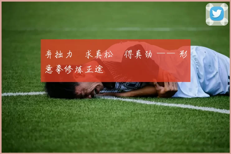 弃拙力・求真松・得真劲 —— 形意拳修炼正途