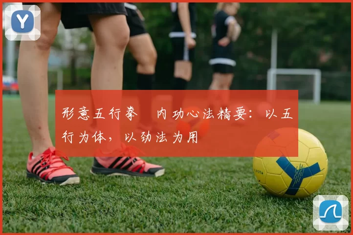 形意五行拳・内功心法精要：以五行为体，以劲法为用