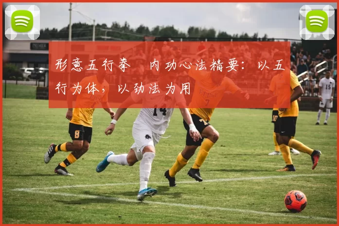 形意五行拳・内功心法精要：以五行为体，以劲法为用