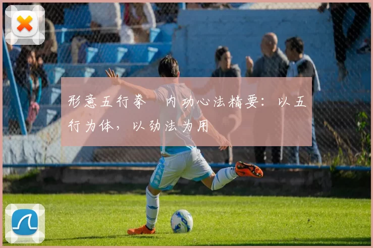 形意五行拳・内功心法精要:以五行为体,以劲法为用