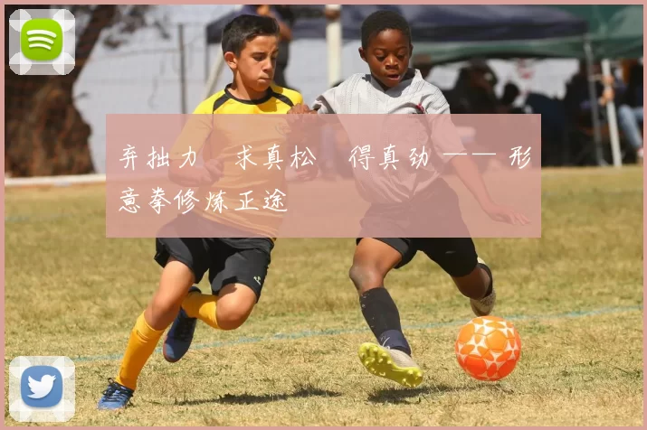 弃拙力・求真松・得真劲 —— 形意拳修炼正途