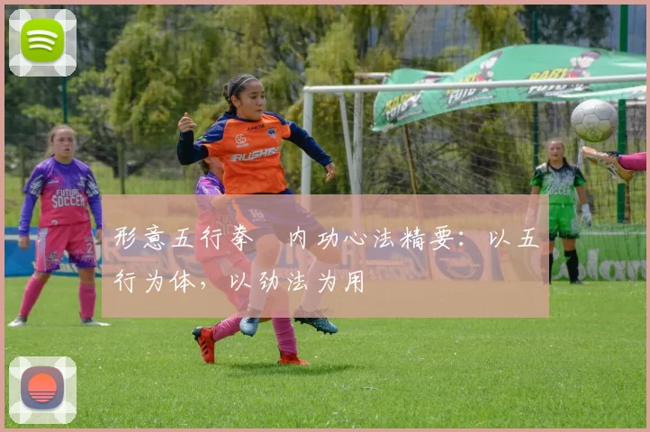 形意五行拳・内功心法精要:以五行为体,以劲法为用