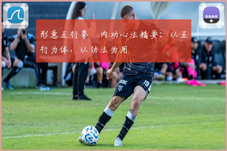 形意五行拳・内功心法精要：以五行为体，以劲法为用