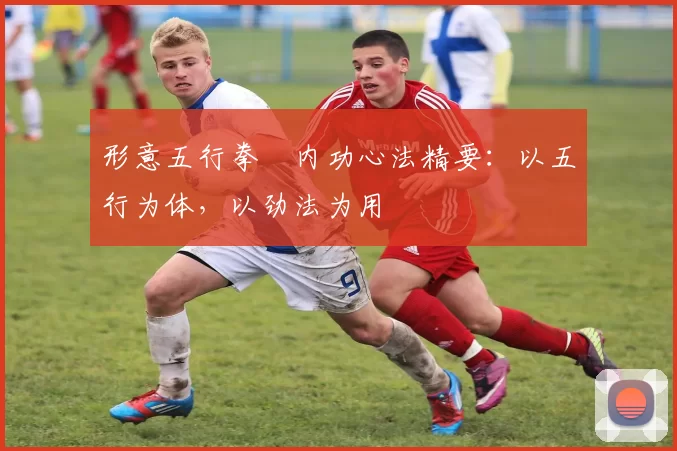 形意五行拳・内功心法精要:以五行为体,以劲法为用