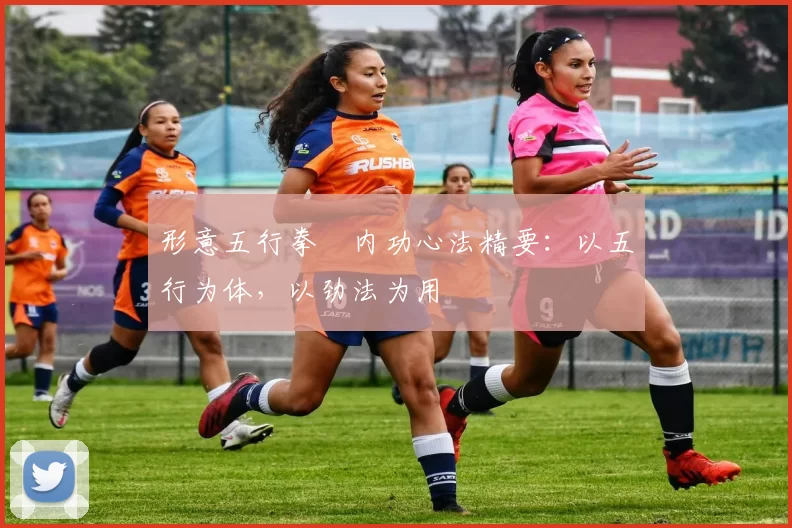 形意五行拳・内功心法精要:以五行为体,以劲法为用