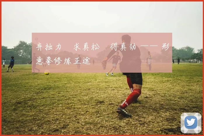 弃拙力・求真松・得真劲 —— 形意拳修炼正途