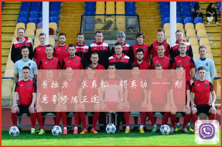 弃拙力・求真松・得真劲 —— 形意拳修炼正途