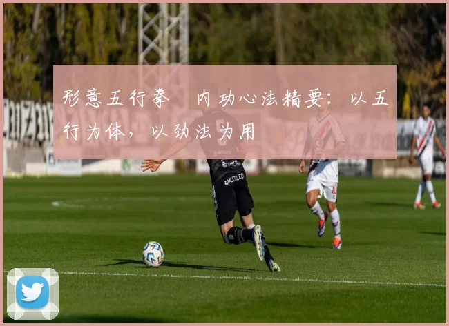 形意五行拳・内功心法精要：以五行为体，以劲法为用