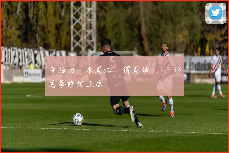 弃拙力・求真松・得真劲 —— 形意拳修炼正途