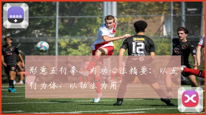 形意五行拳・内功心法精要：以五行为体，以劲法为用