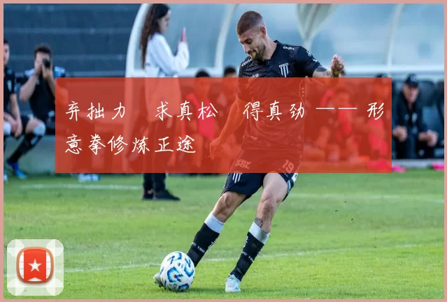 弃拙力・求真松・得真劲 —— 形意拳修炼正途