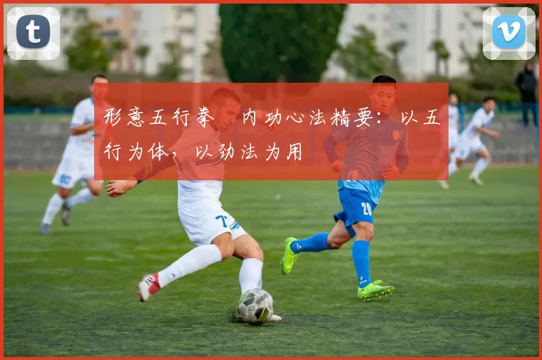 形意五行拳・内功心法精要:以五行为体,以劲法为用