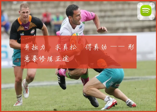 弃拙力・求真松・得真劲 —— 形意拳修炼正途