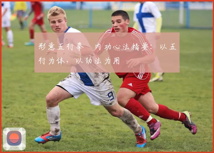 形意五行拳・内功心法精要：以五行为体，以劲法为用