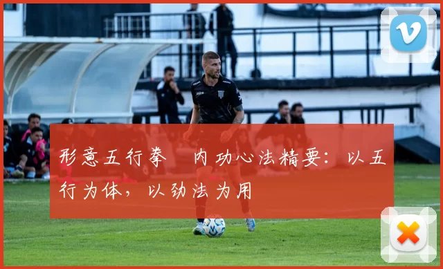 形意五行拳・内功心法精要:以五行为体,以劲法为用