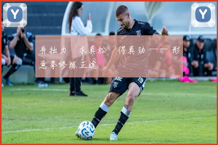 弃拙力・求真松・得真劲 —— 形意拳修炼正途